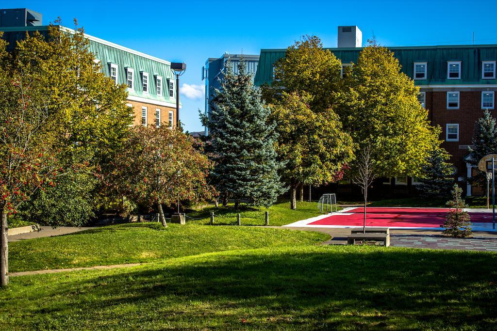 Memorial University St. John's Exterior photo